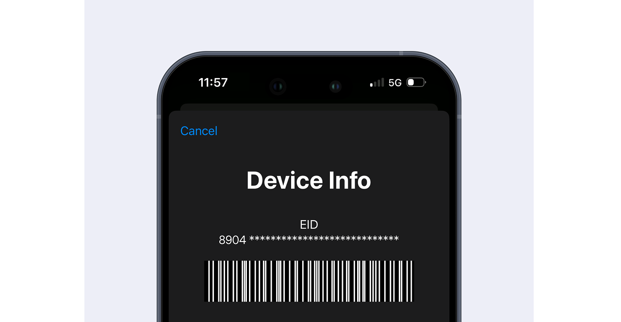 Device Info showing EID